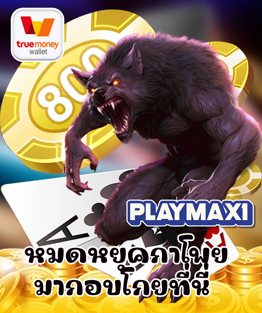 playmax1